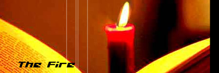 Web Designer Dubai